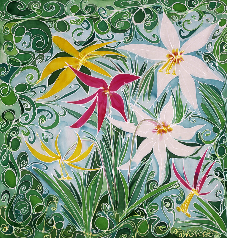 Fawn Lilies